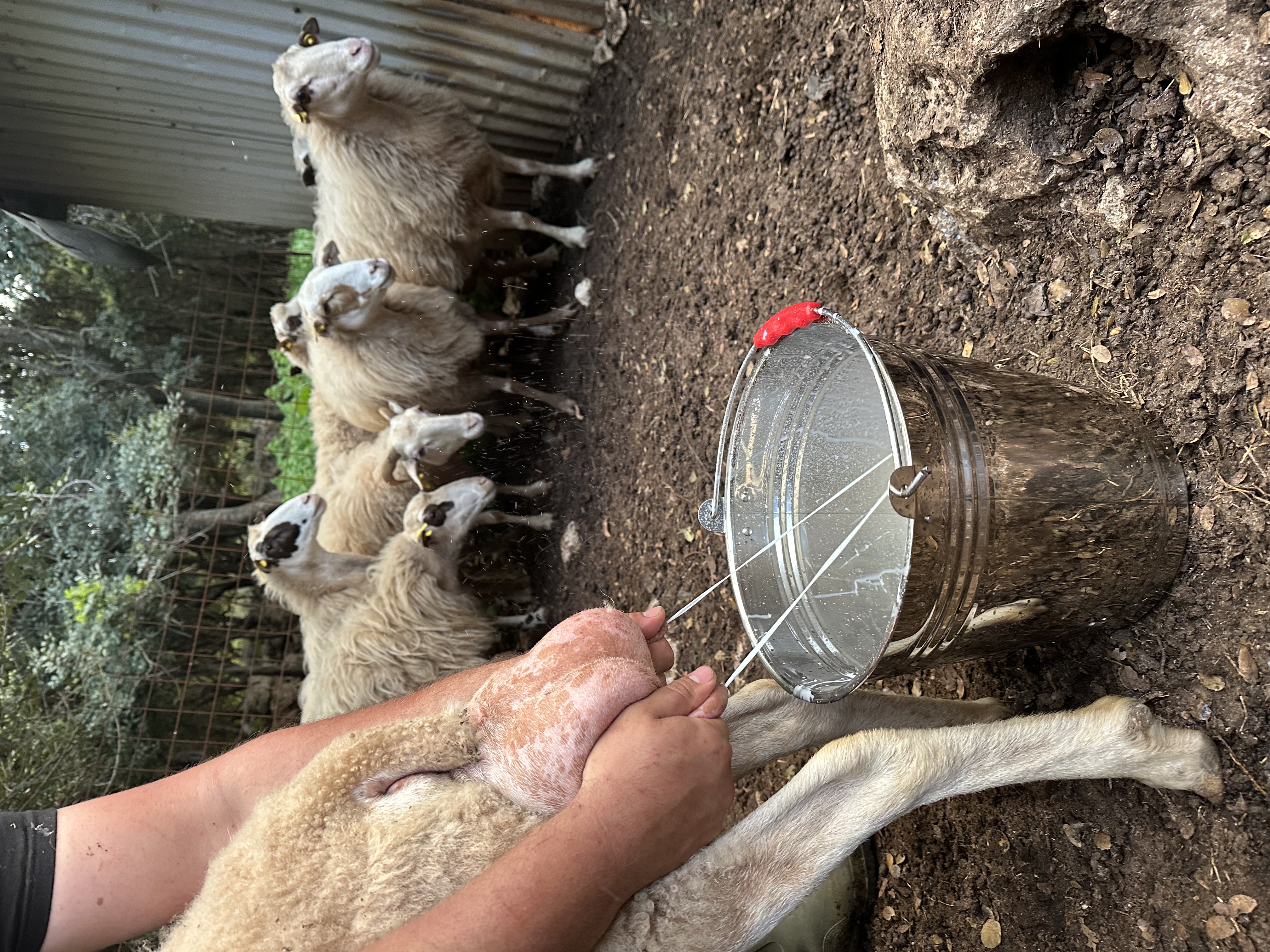 Cooking lesson view 3