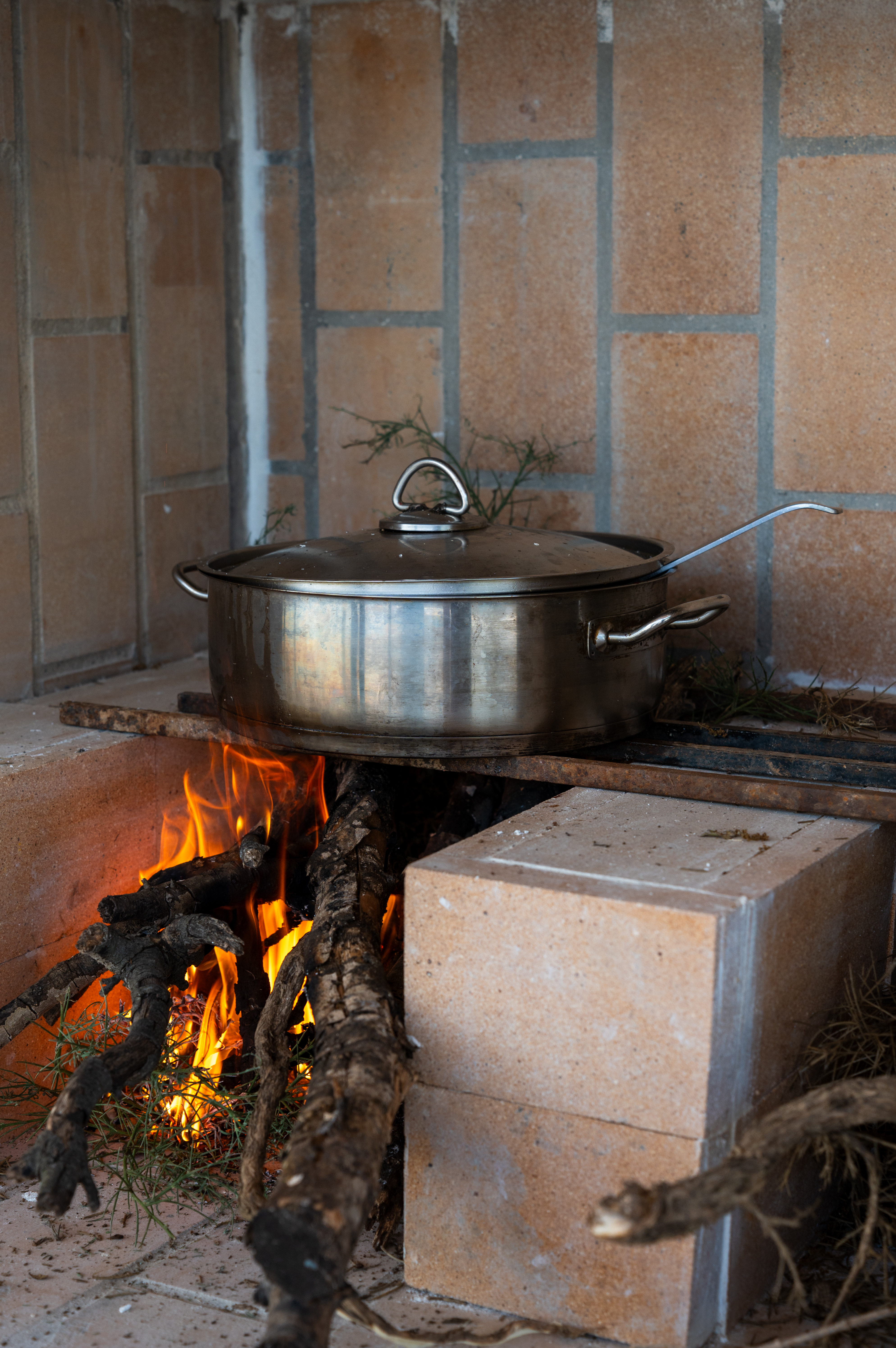 Cooking lesson landscape 7